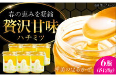 江田島産100％ はちみつ 『沖美のはるかぜ』120g×6本セット ハチミツ 蜂蜜 国産 広島 江田島市/はつはな果蜂園 [XCD005] ハチミツ 国産蜂蜜 国産はちみつ 国産純粋はちみつ 蜜 蜂蜜 はちみつ ハニー honey 人気ハチミツ 日本蜜蜂 純粋はちみつ 常温 保存 備蓄 防災食 非常食 保存食 産地直送 国産