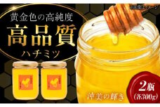 江田島産100％ はちみつ『沖美の輝き』300g×2本 ハチミツ 蜂蜜 国産 広島 江田島市/はつはな果蜂園 [XCD004] ハチミツ 国産蜂蜜 国産はちみつ 国産純粋はちみつ 蜜 蜂蜜 はちみつ ハニー honey 人気ハチミツ 日本蜜蜂 純粋はちみつ 常温 保存 備蓄 防災食 非常食 保存食 産地直送 国産