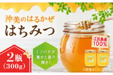 江田島産100％ はちみつ 『沖美のはるかぜ』300g×2本セット ハチミツ 蜂蜜 国産 広島 江田島市/はつはな果蜂園 [XCD006] ハチミツ 国産蜂蜜 国産はちみつ 国産純粋はちみつ 蜜 蜂蜜 はちみつ ハニー honey 人気ハチミツ 日本蜜蜂 純粋はちみつ 常温 保存 備蓄 防災食 非常食 保存食 産地直送 国産