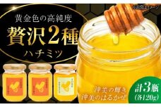江田島産100％ はちみつ 2種食べ比べセット（120g×3本） ハチミツ 蜂蜜 国産 広島 江田島市/はつはな果蜂園 [XCD007] ハチミツ 国産蜂蜜 国産はちみつ 国産純粋はちみつ 蜜 蜂蜜 はちみつ ハニー honey 人気ハチミツ 日本蜜蜂 純粋はちみつ 常温 保存 備蓄 防災食 非常食 保存食 産地直送 国産 食べ比べ