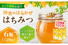【全6回定期便】江田島産100％ はちみつ 『沖美のはるかぜ』120g×6本セット ハチミツ 蜂蜜 国産 広島 江田島市/はつはな果蜂園 [XCD016] ハチミツ 国産蜂蜜 国産はちみつ 国産純粋はちみつ 蜜 蜂蜜 はちみつ ハニー honey 人気ハチミツ 日本蜜蜂 純粋はちみつ 常温 保存 備蓄 防災食 非常食 保存食 産地直送 国産 定期便