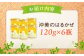 【全6回定期便】江田島産100％ はちみつ 沖美のはるかぜ120g×6本セット ハチミツ 蜂蜜 国産 広島 江田島