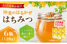 【全3回定期便】江田島産100％ はちみつ 『沖美のはるかぜ』120g×6本セット ハチミツ 蜂蜜 国産 広島 江田島市/はつはな果蜂園 [XCD015] ハチミツ 国産蜂蜜 国産はちみつ 国産純粋はちみつ 蜜 蜂蜜 はちみつ ハニー honey 人気ハチミツ 日本蜜蜂 純粋はちみつ 常温 保存 備蓄 防災食 非常食 保存食 産地直送 国産 定期便