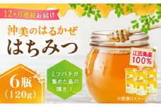 【全12回定期便】江田島産100％ はちみつ 『沖美のはるかぜ』120g×6本セット ハチミツ 蜂蜜 国産 広島 江田島市/はつはな果蜂園 [XCD017] ハチミツ 国産蜂蜜 国産はちみつ 国産純粋はちみつ 蜜 蜂蜜 はちみつ ハニー honey 人気ハチミツ 日本蜜蜂 純粋はちみつ 常温 保存 備蓄 防災食 非常食 保存食 産地直送 国産 定期便