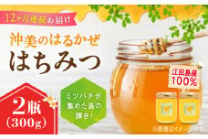 【全12回定期便】江田島産100％ はちみつ 『沖美のはるかぜ』300g×2本セット ハチミツ ハニー 蜂蜜 国産 広島 江田島市/はつはな果蜂園 [XCD020] ハチミツ 国産蜂蜜 国産はちみつ 国産純粋はちみつ 蜜 蜂蜜 はちみつ ハニー honey 人気ハチミツ 日本蜜蜂 純粋はちみつ 常温 保存 備蓄 防災食 非常食 保存食 産地直送 国産 定期便