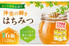 【全6回定期便】江田島産100％ はちみつ 『沖美の輝き』120g×6本セット ハチミツ 蜂蜜 国産 広島 江田島市/はつはな果蜂園 [XCD022] ハチミツ 国産蜂蜜 国産はちみつ 国産純粋はちみつ 蜜 蜂蜜 はちみつ ハニー honey 人気ハチミツ 日本蜜蜂 純粋はちみつ 常温 保存 備蓄 防災食 非常食 保存食 産地直送 国産 定期便