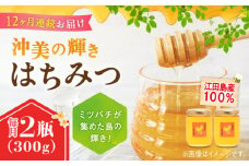 【全12回定期便】江田島産100％ はちみつ 『沖美の輝き』300g×2本 ハチミツ ハニー 蜂蜜 国産 広島 江田島市/はつはな果蜂園 [XCD026] ハチミツ 国産蜂蜜 国産はちみつ 国産純粋はちみつ 蜜 蜂蜜 はちみつ ハニー honey 人気ハチミツ 日本蜜蜂 純粋はちみつ 常温 保存 備蓄 防災食 非常食 保存食 産地直送 国産 定期便