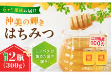 【全6回定期便】江田島産100％ はちみつ 『沖美の輝き』300g×2本 ハチミツ ハニー 蜂蜜 国産 広島 江田島市/はつはな果蜂園 [XCD025] ハチミツ 国産蜂蜜 国産はちみつ 国産純粋はちみつ 蜜 蜂蜜 はちみつ ハニー honey 人気ハチミツ 日本蜜蜂 純粋はちみつ 常温 保存 備蓄 防災食 非常食 保存食 産地直送 国産 定期便