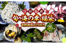 【何が届くかお楽しみ】旬の海の幸 福袋 寄附額1万円相当 魚介類 海産物 海鮮 刺身 広島 海鮮 魚介類 冷凍 水産加工品 海藻 鮮魚 さかな 刺身 詰め合わせ セット 小分け 海鮮丼 加工品 惣菜 刺身 真空パック 小分け タコ たこ 蛸 はまち ハマチ 魬 しらす シラス 料理 和食 時短 便利 ギフト 広島県産 人気 送料無料 江田島市/七宝丸 [XBY004]