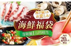 【何が届くかお楽しみ】旬の海の幸 福袋 寄附額1万円相当 魚介類 海産物 海鮮 刺身 広島 海鮮 魚介類 冷凍 水産加工品 海藻 鮮魚 さかな 刺身 詰め合わせ セット 小分け 海鮮丼 加工品 惣菜 刺身 真空パック 小分け タコ たこ 蛸 はまち ハマチ 魬 しらす シラス 料理 和食 時短 便利 ギフト 広島県産 人気 送料無料 江田島市/七宝丸 [XBY004]