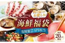 【何が届くかお楽しみ】旬の海の幸福袋 寄附額2万円相当 魚介類 海産物 海鮮 刺身 広島 海鮮 魚介類 冷凍 水産加工品 海藻 鮮魚 さかな 刺身 詰め合わせ セット 小分け 海鮮丼 加工品 惣菜 刺身 真空パック 小分け タコ たこ 蛸 はまち ハマチ 魬 しらす シラス 料理 和食 時短 便利 ギフト 広島県産 人気 送料無料 江田島市/七宝丸 [XBY005]