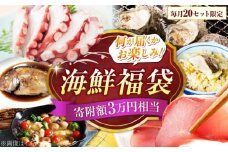 【何が届くかお楽しみ】旬の海の幸福袋 寄附額3万円相当 魚介類 海産物 海鮮 刺身 広島 海鮮 魚介類 冷凍 水産加工品 海藻 鮮魚 さかな 刺身 詰め合わせ セット 小分け 海鮮丼 加工品 惣菜 刺身 真空パック 小分け タコ たこ 蛸 はまち ハマチ 魬 しらす シラス 料理 和食 時短 便利 ギフト 広島県産 人気 送料無料 江田島市/七宝丸 [XBY006]