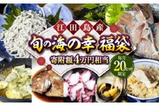 【何が届くかお楽しみ】旬の海の幸福袋 寄附額4万円相当 魚介類 海産物 海鮮 刺身 広島 海鮮 魚介類 冷凍 水産加工品 海藻 鮮魚 さかな 刺身 詰め合わせ セット 小分け 海鮮丼 加工品 惣菜 刺身 真空パック 小分け タコ たこ 蛸 はまち ハマチ 魬 しらす シラス 料理 和食 時短 便利 ギフト 広島県産 人気 送料無料 江田島市/七宝丸 [XBY007]