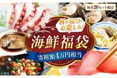 【何が届くかお楽しみ】旬の海の幸福袋 寄附額4万円相当 魚介類 海産物 海鮮 刺身 広島 海鮮 魚介類 冷凍 水産加工品 海藻 鮮魚 さかな 刺身 詰め合わせ セット 小分け 海鮮丼 加工品 惣菜 刺身 真空パック 小分け タコ たこ 蛸 はまち ハマチ 魬 しらす シラス 料理 和食 時短 便利 ギフト 広島県産 人気 送料無料 江田島市/七宝丸 [XBY007]
