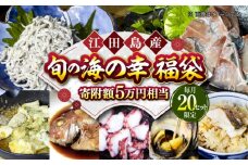 【何が届くかお楽しみ】旬の海の幸福袋 寄附額5万円相当 魚介類 海産物 海鮮 刺身 広島 海鮮 魚介類 冷凍 水産加工品 海藻 鮮魚 さかな 刺身 詰め合わせ セット 小分け 海鮮丼 加工品 惣菜 刺身 真空パック 小分け タコ たこ 蛸 はまち ハマチ 魬 しらす シラス 料理 和食 時短 便利 ギフト 広島県産 人気 送料無料 江田島市/七宝丸 [XBY008]