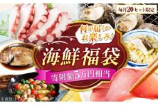 【何が届くかお楽しみ】旬の海の幸福袋 寄附額5万円相当 魚介類 海産物 海鮮 刺身 広島 海鮮 魚介類 冷凍 水産加工品 海藻 鮮魚 さかな 刺身 詰め合わせ セット 小分け 海鮮丼 加工品 惣菜 刺身 真空パック 小分け タコ たこ 蛸 はまち ハマチ 魬 しらす シラス 料理 和食 時短 便利 ギフト 広島県産 人気 送料無料 江田島市/七宝丸 [XBY008]