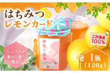 江田島産100％ はちみつ レモンカード『檸檬の初恋』120g×1本 れもん レモン 檸檬 はちみつ ハチミツ 蜂蜜 ジャム ハニー 国産蜂蜜 国産はちみつ 蜜 スプレッド クリーム ギフト お取り寄せ 非加熱 純粋はちみつ パン 食パン ホットケーキ バター 国産 保存食 セット 小分け ギフト 人気 送料無料 広島県 江田島市/はつはな果蜂園 [XCD001]