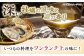 広島県産牡蠣の旨味！牡蠣の白だし（濃縮タイプ）150ml×5本 牡蠣 カキ かき 濃縮 白だし 江田島