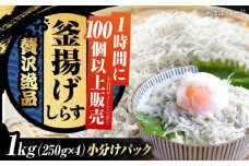 しらす 冷凍 鮮度抜群＆水分率80％!ふわふわ釜揚げしらす 1kg 冷凍 しらす シラス 干し 釜揚げ 小分け 魚介類 鮮魚 ギフト 料理 レシピ シラス丼 しらす丼 海鮮丼 生 生産地 おつまみ ご飯のお供 グルメ やみつき 旬 国産 広島県産 リピート ギフト プレゼント 贈答 人気 高品質 好評 保存方法 江田島市/三島水産株式会社 [XCN001]