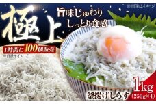 しらす 冷凍 鮮度抜群＆水分率80％!ふわふわ釜揚げしらす 1kg 冷凍 しらす シラス 干し 釜揚げ 小分け 魚介類 鮮魚 ギフト 料理 レシピ シラス丼 しらす丼 海鮮丼 生 生産地 おつまみ ご飯のお供 グルメ やみつき 旬 国産 広島県産 リピート ギフト プレゼント 贈答 人気 高品質 好評 保存方法 江田島市/三島水産株式会社 [XCN001]