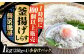 冷凍 釜揚げしらす 小分け 1kg