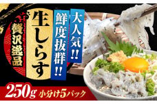 しらす 冷凍  生しらす 50gX5個 冷凍 しらす シラス 干し 釜揚げ 小分け 魚介類 鮮魚 ギフト 料理 レシピ シラス丼 しらす丼 海鮮丼 生 生産地 おつまみ ご飯のお供 グルメ やみつき 旬 国産 広島県産 リピート ギフト プレゼント 贈答 人気 高品質 好評 保存方法 江田島市/三島水産株式会社 [XCN002]