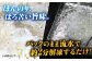 冷凍 生しらす 小分け 50gX5パック