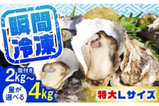 特選 牡蠣三昧！【瞬間冷凍】広島牡蠣 殻付き３kg カキ かき 広島 料理 簡単 魚介類 海鮮 ギフト 広島県産 江田島市/株式会社門林水産 [XAO030] 牡蠣 冷凍 むき身 殻付き 殻付 殻 かき カキ 生牡蠣 広島牡蠣 オイスター カキフライ 魚介類 魚介 貝類 海鮮 広島県産 国産 産地直送 贈答 ギフト 特産品