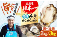 おうちで牡蠣小屋気分！【瞬間冷凍】カンカン焼き（ナイフ付き）3kg カキ かき 広島 料理 簡単 魚介類 海鮮 ギフト 広島県産 江田島市/株式会社門林水産 [XAO033] 牡蠣 冷凍 むき身 殻付き 殻付 殻 かき カキ 生牡蠣 広島牡蠣 オイスター カキフライ 魚介類 魚介 貝類 海鮮 広島県産 国産 産地直送 贈答 ギフト 特産品