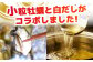牡蠣 むき身 殻付き かき カキ 生牡蠣 広島牡蠣 オイスター カキフライ 魚介類 貝類 海鮮 広島県産 国産 産地直送