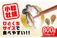 【10月26日（土）着】生産量日本一！【生牡蠣】レンジでチンするだけ簡単！江田島の小粒牡蠣『がきんちょ』(200g×4パック) (加熱用) 牡蠣 カキ レンチン おかず かき 江田島市/株式会社門林水産 [XAO003] 牡蠣 むき身 殻付き 殻付 殻 かき カキ 生牡蠣 広島牡蠣 オイスター カキフライ 魚介類 魚介 貝類 海鮮 広島県産 国産 産地直送 贈答 ギフト 特産品