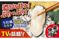 【2月13日（木）着】テレビで話題！【生牡蠣】【着日指定可能】ミルキーな甘みと濃厚なうまみ！身が引き締まったプリップリの むき身 800g カキ 広島 かき カキフライ 料理 鍋 江田島市/有限会社寺本水産 [XAE002] 牡蠣 生食 むき身 殻付き 殻付 殻 かき カキ 生牡蠣 広島牡蠣 オイスター カキフライ 魚介類 魚介 貝類 海鮮 広島県産 国産 産地直送 贈答 ギフト 特産品
