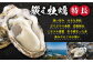 牡蠣 生食 むき身 殻付き かき カキ 生牡蠣 広島牡蠣 オイスター カキフライ 魚介類 貝類 海鮮 広島県産 国産 産地直送