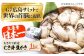 牡蠣 生食 むき身 殻付き かき カキ 生牡蠣 広島牡蠣 オイスター カキフライ 魚介類 貝類 海鮮 広島県産 国産 産地直送