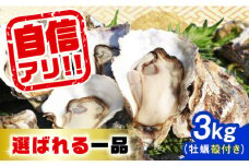 【12月19日（金）着】特選 牡蠣三昧！【生牡蠣】広島牡蠣 殻付き 3kg (加熱用) 牡蠣 かき カキ 生牡蠣 殻付き 広島 江田島市/株式会社門林水産[XAO009] 牡蠣 むき身 殻付き 殻付 殻 かき カキ 生牡蠣 広島牡蠣 オイスター カキフライ 魚介類 魚介 貝類 海鮮 広島県産 国産 産地直送 贈答 ギフト 特産品