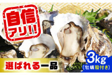 【11月29日（金）着】特選 牡蠣三昧！【生牡蠣】広島牡蠣 殻付き 3kg (加熱用) 牡蠣 かき カキ 生牡蠣 殻付き 広島 江田島市/株式会社門林水産[XAO009] 牡蠣 むき身 殻付き 殻付 殻 かき カキ 生牡蠣 広島牡蠣 オイスター カキフライ 魚介類 魚介 貝類 海鮮 広島県産 国産 産地直送 贈答 ギフト 特産品