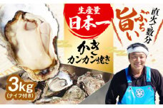 【3月26日（水）着】【生牡蠣】カンカン焼き（ナイフ付き）3kg (加熱用) 牡蠣 かき カキ 殻付き かんかん焼き 広島 江田島市/株式会社門林水産[XAO012] 牡蠣 むき身 殻付き 殻付 殻 かき カキ 生牡蠣 広島牡蠣 オイスター カキフライ 魚介類 魚介 貝類 海鮮 広島県産 国産 産地直送 贈答 ギフト 特産品