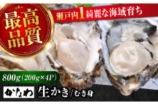 広島牡蠣の老舗！安心・安全の新鮮牡蠣【生牡蠣】牡蠣 かき むき身 800gパック入り 生食用 魚介類 海鮮 広島県産 江田島市/株式会社かなわ [XBP003] 牡蠣 生食 むき身 殻付き 殻付 殻 かき カキ 生牡蠣 広島牡蠣 オイスター カキフライ 魚介類 魚介 貝類 海鮮 広島県産 国産 産地直送 贈答 ギフト 特産品