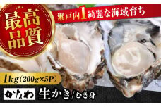 広島牡蠣の老舗！安心・安全の新鮮牡蠣【生牡蠣】牡蠣 かき むき身 1kgパック入り 生食用 魚介類 海鮮 広島県産 江田島市/株式会社かなわ [XBP004] 牡蠣 生食 むき身 殻付き 殻付 殻 かき カキ 生牡蠣 広島牡蠣 オイスター カキフライ 魚介類 魚介 貝類 海鮮 広島県産 国産 産地直送 贈答 ギフト 特産品
