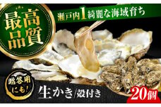 広島牡蠣の老舗！安心・安全の新鮮牡蠣【生牡蠣】牡蠣 かき 殻付き 20個入り 生食用 魚介類 海鮮 広島県産 江田島市/株式会社かなわ [XBP008] 牡蠣 生食 むき身 殻付き 殻付 殻 かき カキ 生牡蠣 広島牡蠣 オイスター カキフライ 魚介類 魚介 貝類 海鮮 広島県産 国産 産地直送 贈答 ギフト 特産品