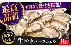広島牡蠣の老舗！安心・安全の新鮮牡蠣【生牡蠣】牡蠣 かき 殻付き 開殻 ハーフシェルオイスター 8個入 生食用 魚介類 海鮮 広島県産 江田島市/株式会社かなわ [XBP009] 牡蠣 生食 むき身 殻付き 殻付 殻 かき カキ 生牡蠣 広島牡蠣 オイスター カキフライ 魚介類 魚介 貝類 海鮮 広島県産 国産 産地直送 贈答 ギフト 特産品