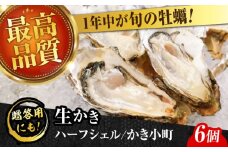 広島牡蠣の老舗！安心・安全の新鮮牡蠣【生牡蠣】牡蠣 かき 殻付き 開殻 夏のかき ハーフシェル『かき小町』6個入 生食用 魚介類 海鮮 広島県産 江田島市/株式会社かなわ [XBP011] 牡蠣 生食 むき身 殻付き 殻付 殻 かき カキ 生牡蠣 広島牡蠣 オイスター カキフライ 魚介類 魚介 貝類 海鮮 広島県産 国産 産地直送 贈答 ギフト 特産品