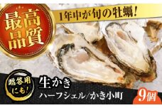 広島牡蠣の老舗！安心・安全の新鮮牡蠣【生牡蠣】牡蠣 かき 殻付き 開殻 夏のかき ハーフシェル『かき小町』9個入 生食用 魚介類 海鮮 広島県産 江田島市/株式会社かなわ [XBP012] 牡蠣 生食 むき身 殻付き 殻付 殻 かき カキ 生牡蠣 広島牡蠣 オイスター カキフライ 魚介類 魚介 貝類 海鮮 広島県産 国産 産地直送 贈答 ギフト 特産品