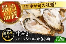 広島牡蠣の老舗！安心・安全の新鮮牡蠣【生牡蠣】牡蠣 かき 殻付き 開殻 夏のかき ハーフシェル『かき小町』12個入 生食用 魚介類 海鮮 広島県産 江田島市/株式会社かなわ [XBP013] 牡蠣 生食 むき身 殻付き 殻付 殻 かき カキ 生牡蠣 広島牡蠣 オイスター カキフライ 魚介類 魚介 貝類 海鮮 広島県産 国産 産地直送 贈答 ギフト 特産品 牡蠣