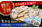 牡蠣 生食 むき身 殻付き かき カキ 生牡蠣 広島牡蠣 オイスター カキフライ 魚介類 貝類 海鮮 広島県産 国産 産地直送