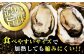 牡蠣 生食 むき身 殻付き かき カキ 生牡蠣 広島牡蠣 オイスター カキフライ 魚介類 貝類 海鮮 広島県産 国産 産地直送