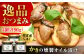 牡蠣 生食 むき身 殻付き かき カキ 生牡蠣 広島牡蠣 オイスター カキフライ 魚介類 貝類 海鮮 広島県産 国産 産地直送