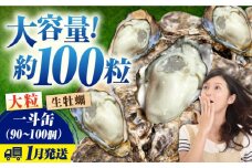 牡蠣 生食 殻付き かき カキ 【生牡蠣】【1月発送】大容量！かきうちの殻付き一斗缶 かき 海鮮 和食 海産物簡単 レシピ 広島県産 江田島市/株式会社かきうち [XBK014]