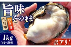 訳あり 牡蠣 むき身 味はそのまま！【生牡蠣】【訳あり】むき身 たっぷり 1kg 牡蠣 かき カキ 無選別 海鮮 和食 新鮮 冷蔵 簡単 広島県産 牡蠣 生食 むき身 殻付き 殻付 殻 かき カキ 生牡蠣 広島牡蠣 オイスター カキフライ 魚介類 魚介 貝類 海鮮 広島県産 国産 産地直送 贈答 ギフト 特産品 江田島市/株式会社かきうち [XBK016]