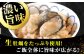 牡蠣 生食 むき身 殻付き かき カキ 生牡蠣 広島牡蠣 オイスター カキフライ 魚介類 貝類 海鮮 広島県産 国産 産地直送